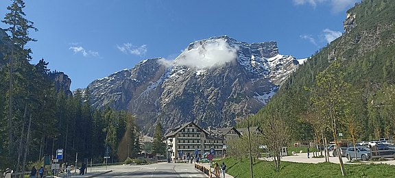 IMG_20250511_093325.jpg