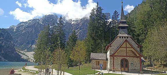 IMG_20250511_101531.jpg
