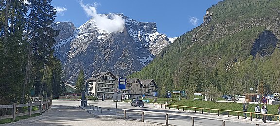 IMG_20250511_094755.jpg