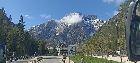 IMG_20250511_093321.jpg