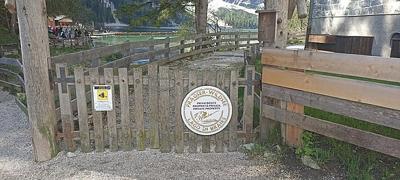 IMG_20250511_095025.jpg