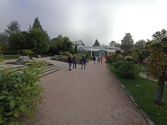 IMG_20250903_091920.jpg  