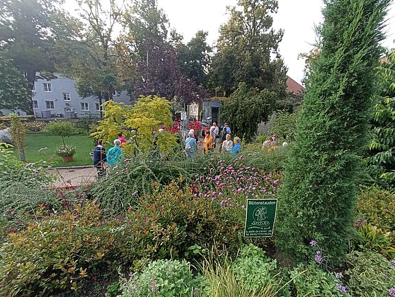 IMG_20250903_092037.jpg  